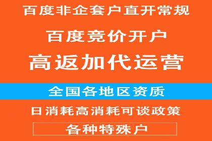 竞价排名成功案例分享
